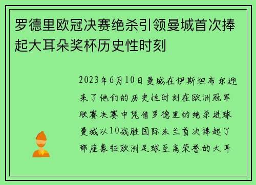 罗德里欧冠决赛绝杀引领曼城首次捧起大耳朵奖杯历史性时刻